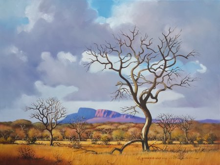 Oil on Stretched Canvas(600x458x17)mmUnframedSOLD 2016 (by SouthAfricanArtists.com)